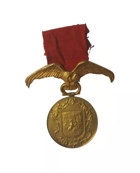 Talquinos presentes en campañas de 1879-1884