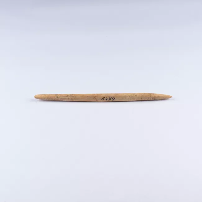 Cabezal de arpón