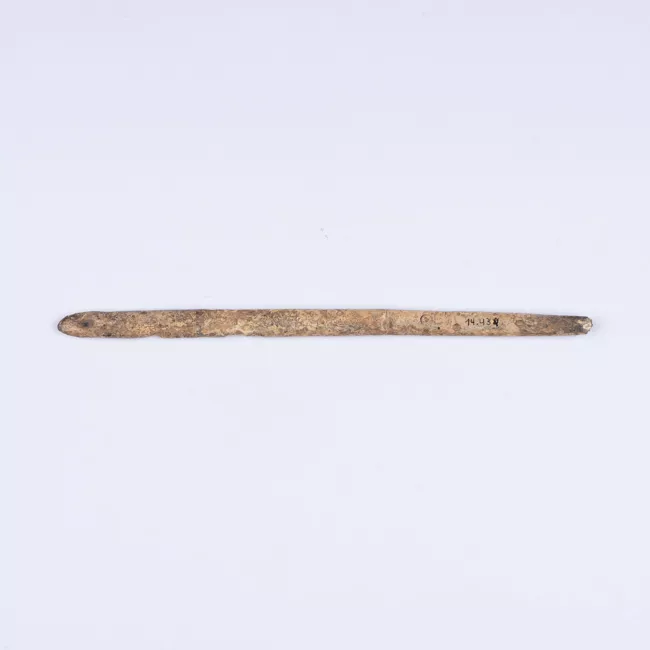 Aguja (arqueológico y etnográfico)