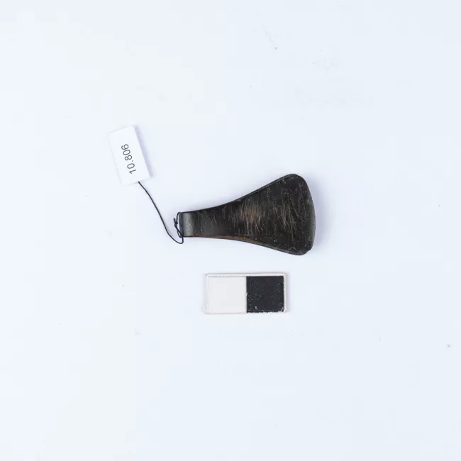 Pinza
