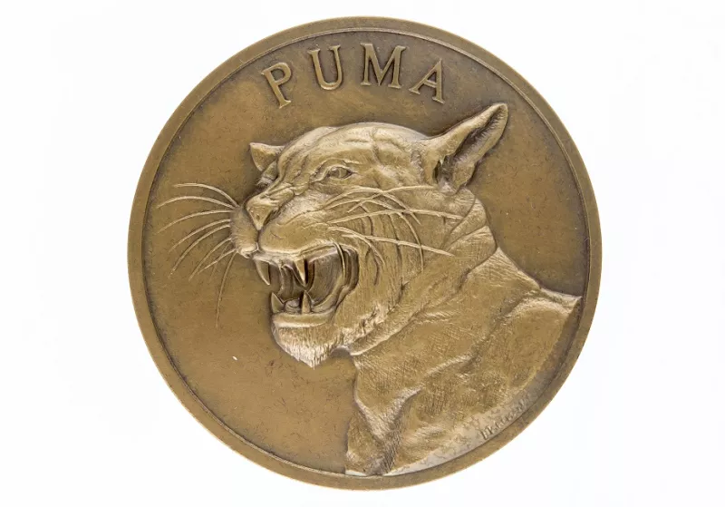 Puma