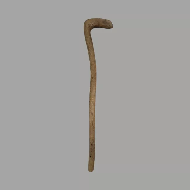Bastón