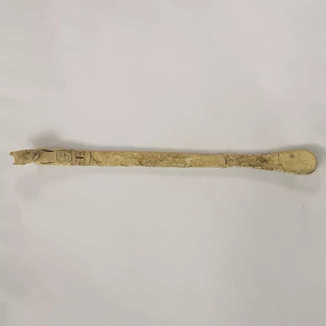 Espátula