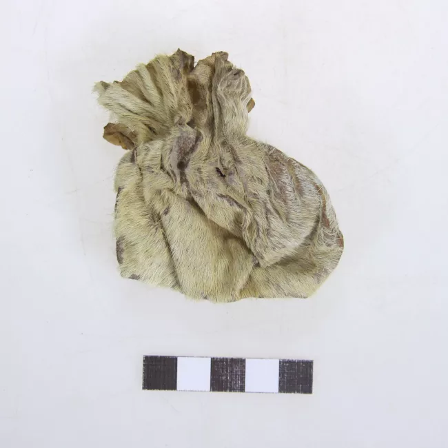 Bolsa (contenedor)