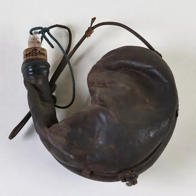 Bota para vino