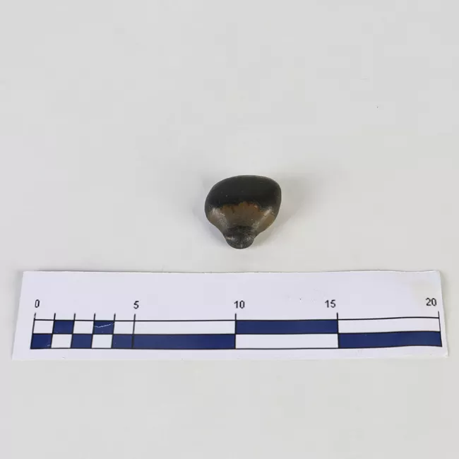 Piedra