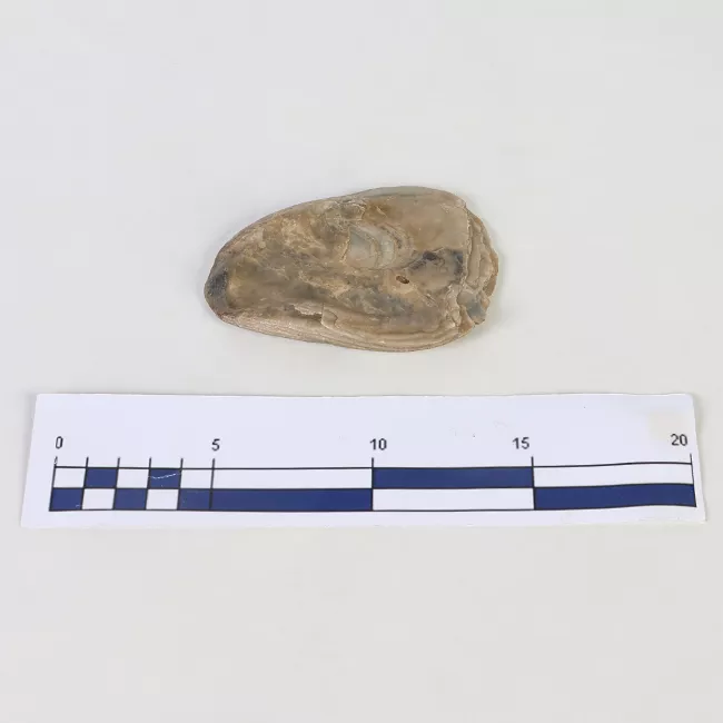 Piedra