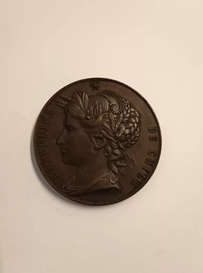 Primer premio concursos anuales