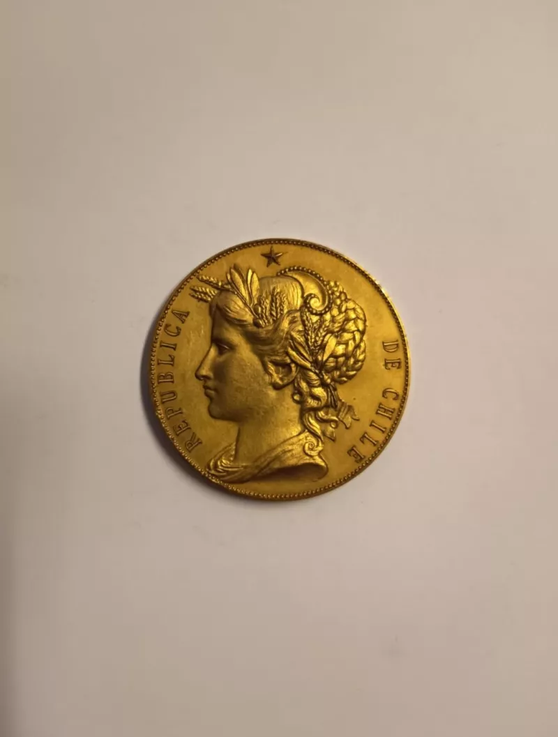 Primer premio concursos anuales