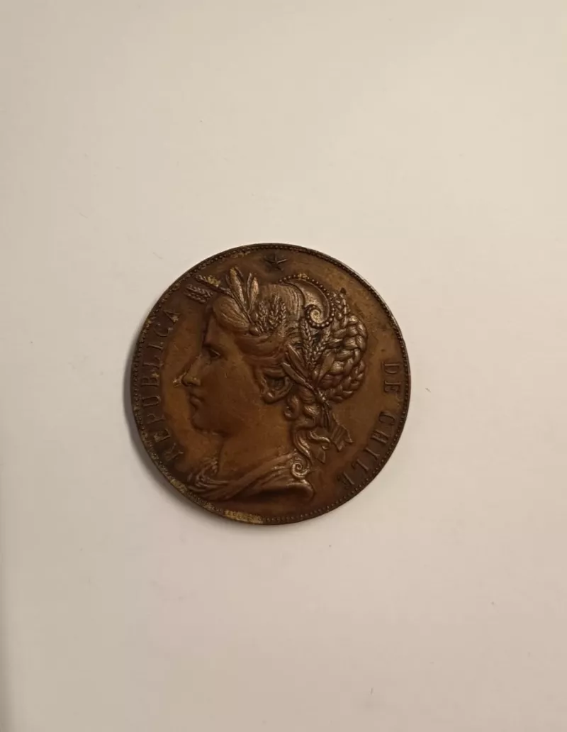 Primer premio concursos anuales
