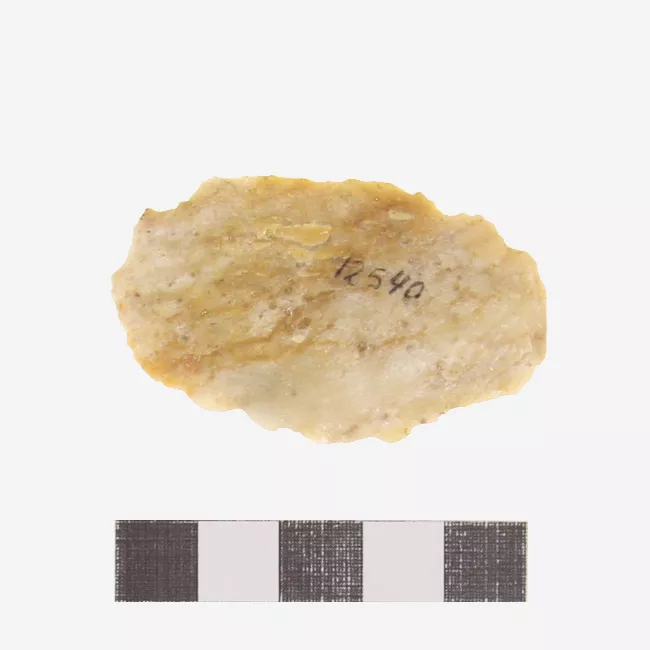 Raedera