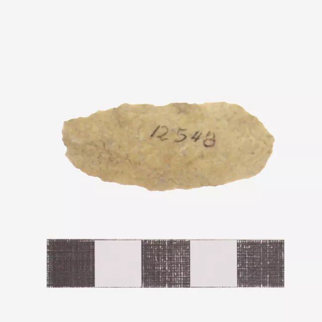 Raedera