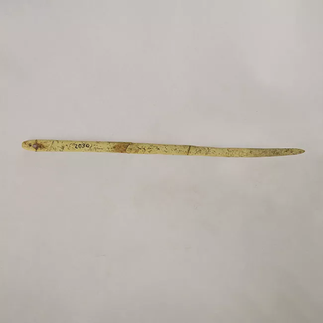 Aguja (arqueológico y etnográfico)