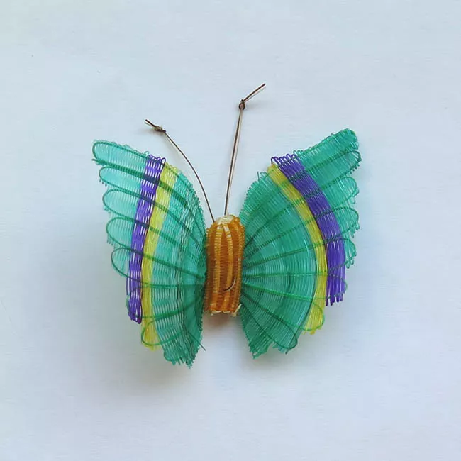 Mariposa Listada