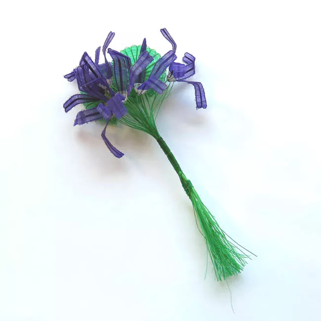 Ramo de Violeta
