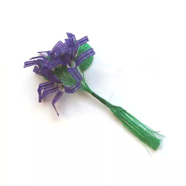 Ramo de Violeta