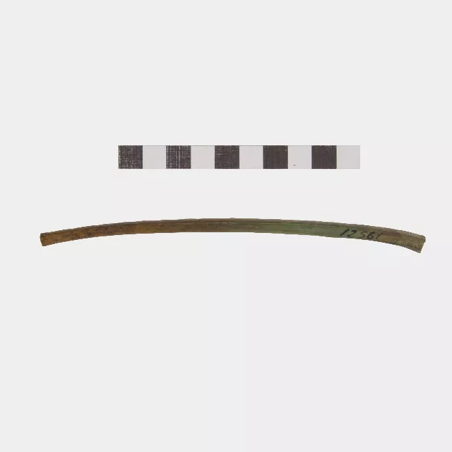 Tubo
