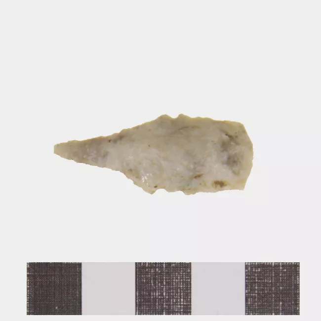 Perforador