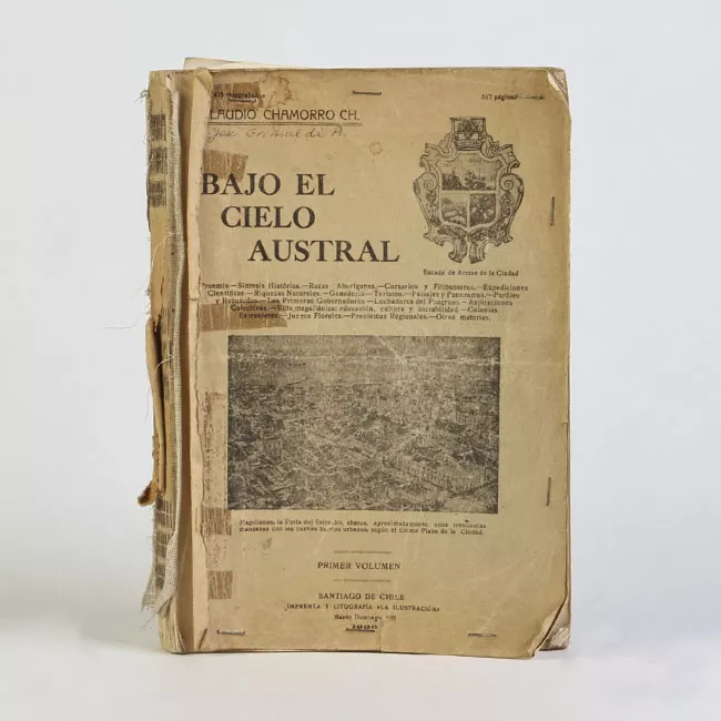 Bajo el cielo austral
