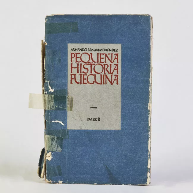 Pequeña historia fueguina
