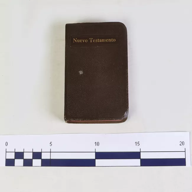 Nuevo testamento