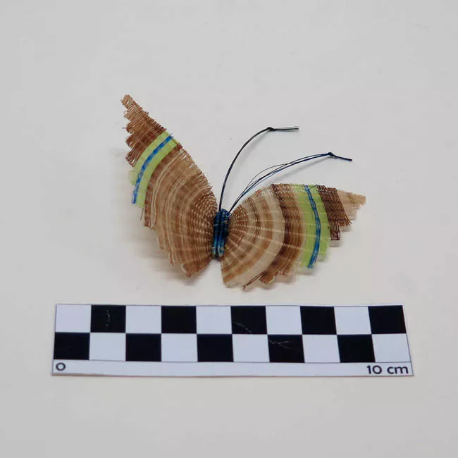Mariposa Listada