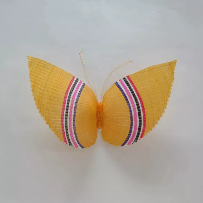 Mariposa Listada