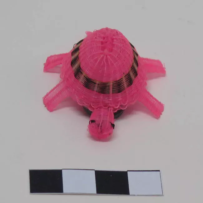 Tortuga