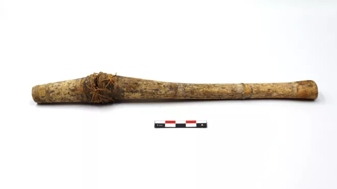 tubo de hueso (contenedor)