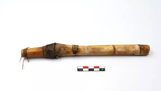 tubo de hueso (contenedor)