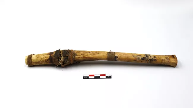 tubo de hueso (contenedor)