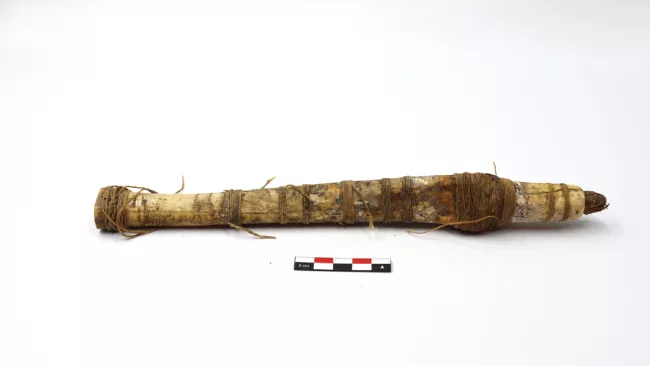tubo de hueso (contenedor)
