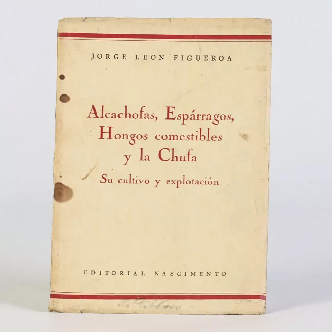 Alcachofas, espárragos, hongos comestibles y la chufa su cultivo y explotación