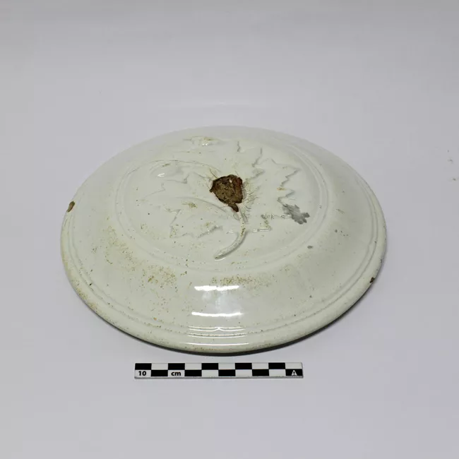 Tapa (cubierta)