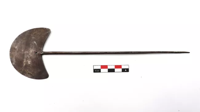 Tupu