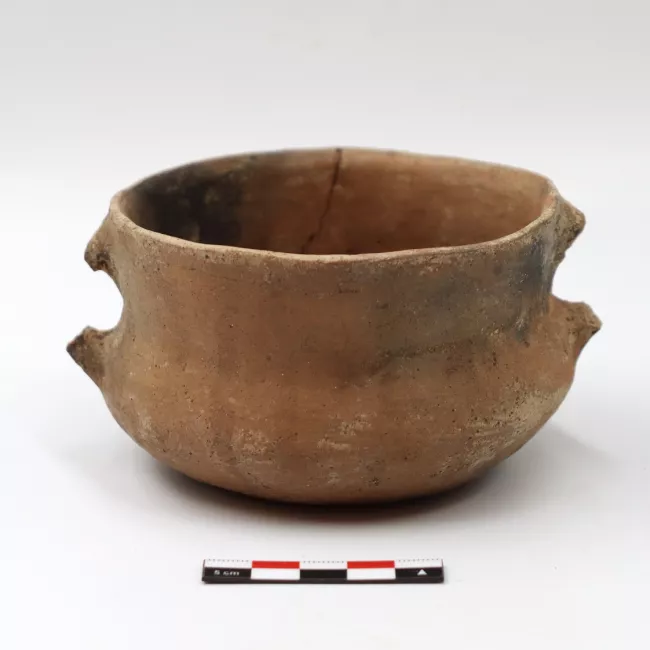 Olla (arqueológica y etnográfica)