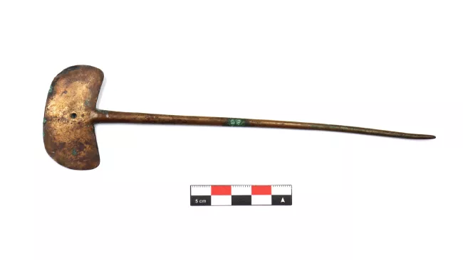 Tupu