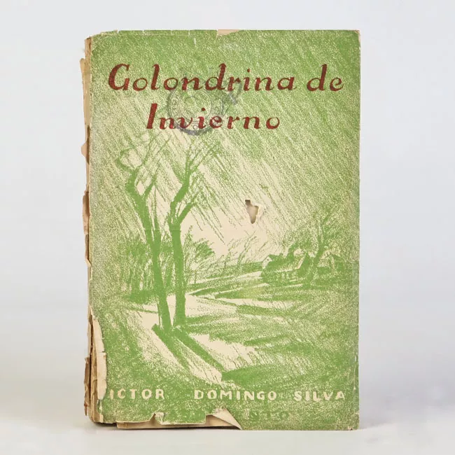 Golondrina de invierno