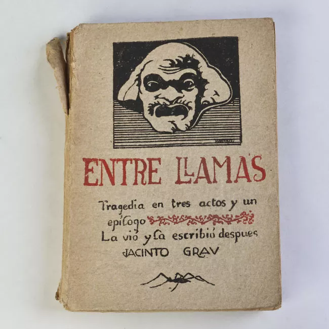 Entre llamas