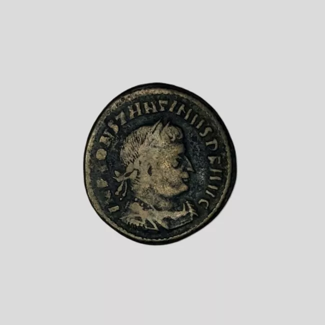 FOLLIS