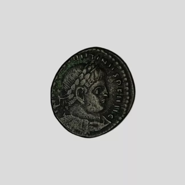 FOLLIS
