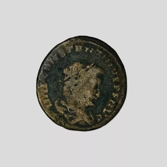 FOLLIS