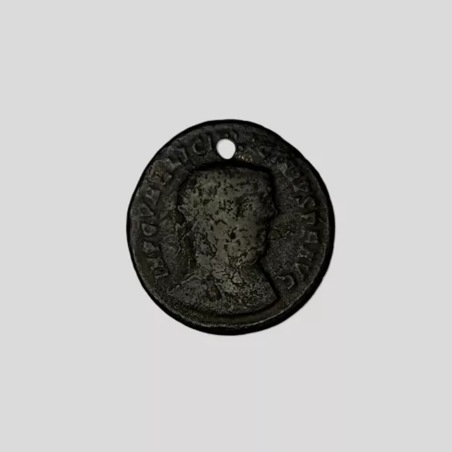 1/2 FOLLIS