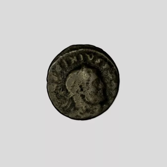 1/2 FOLLIS