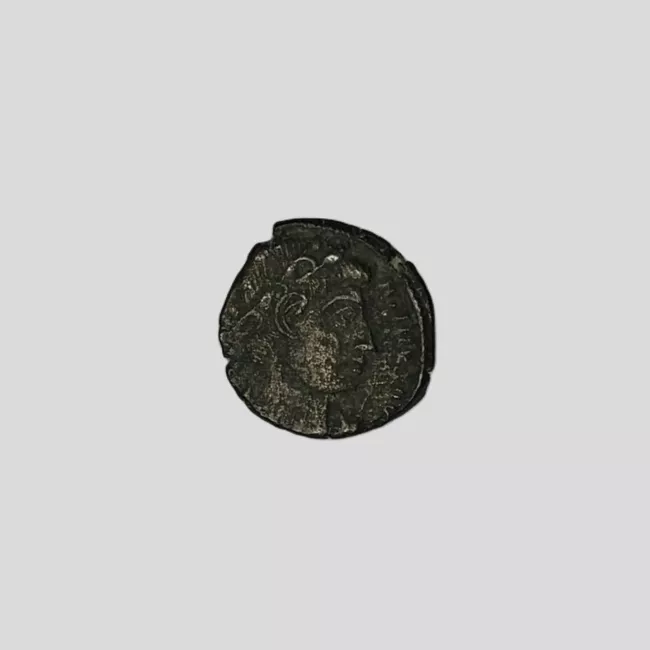 1/2 FOLLIS