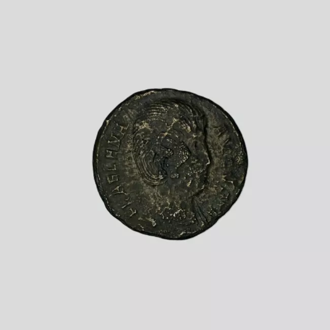 1/2 FOLLIS