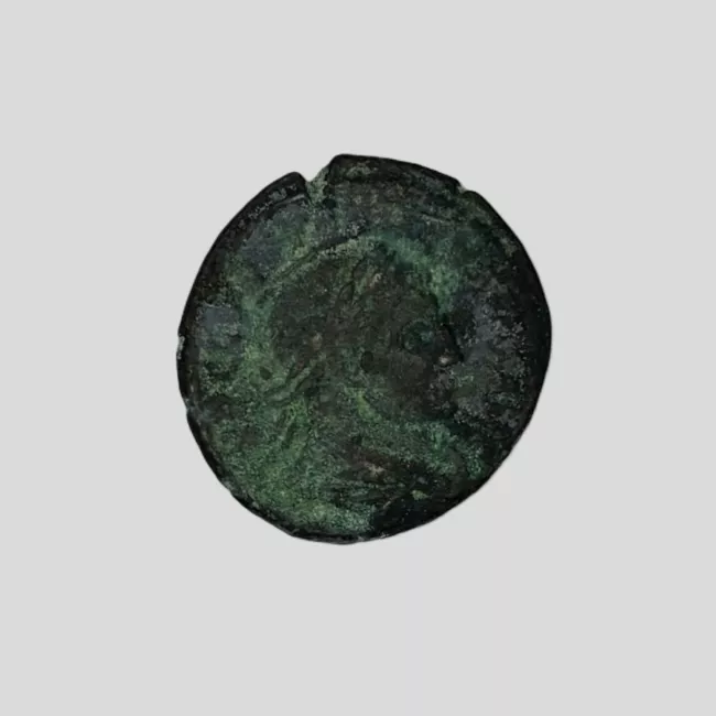 FOLLIS