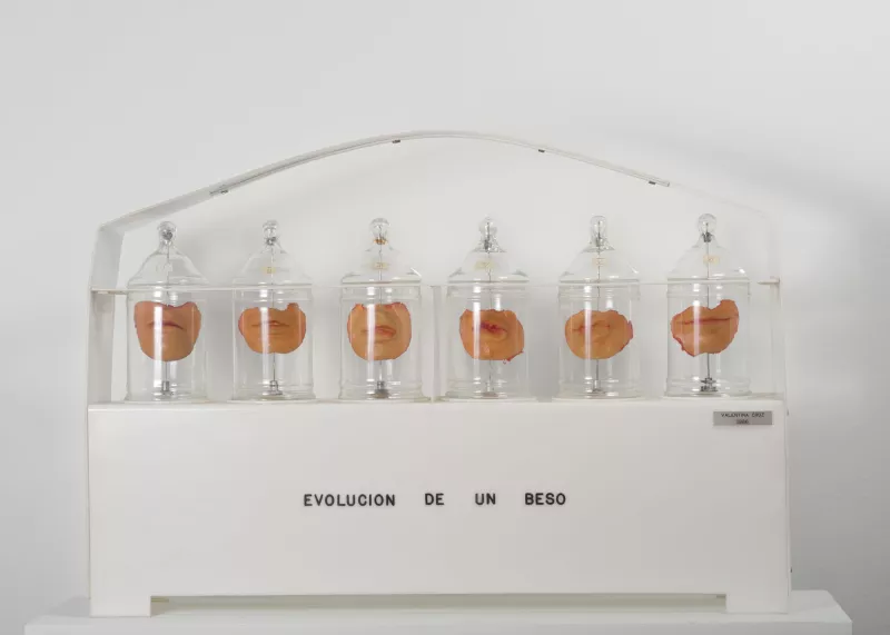 Evolución de un beso