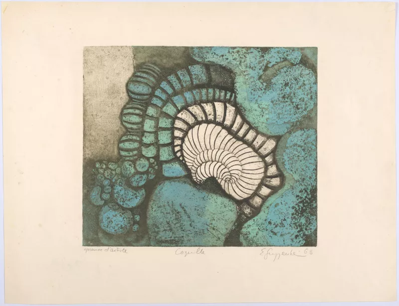 Coquille