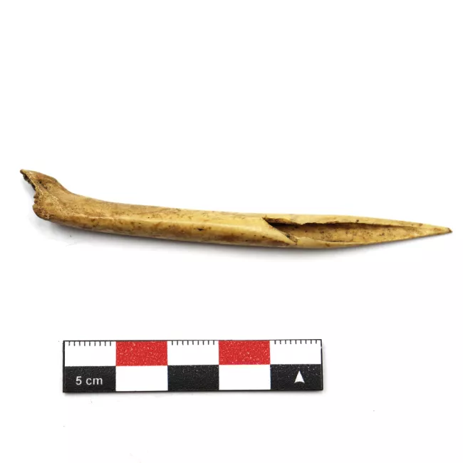 Punzón (arqueológico)